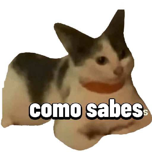Enojo 24