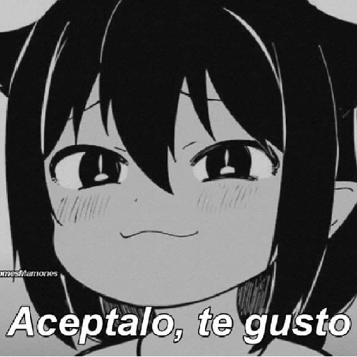HOMBREEMCIONAL 16