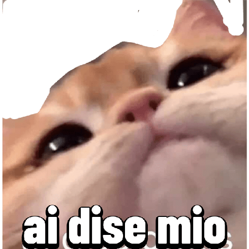 Enojo 23