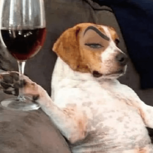 Cat & dog 3# 14