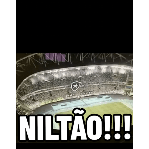 Pacote do botafogo 14