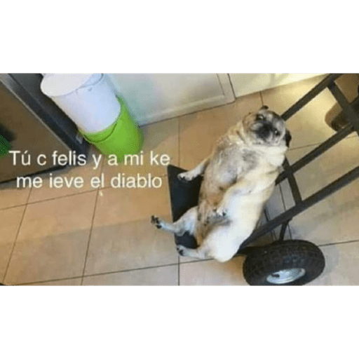 Animalitos 2.0 18