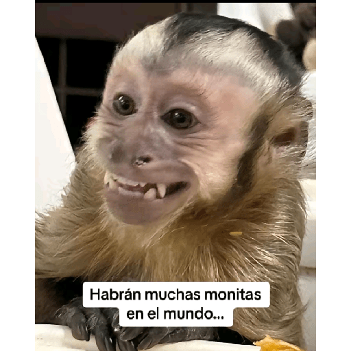 Full mame 3