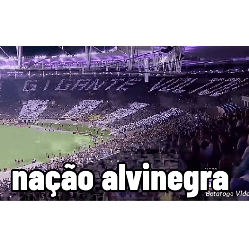 Pacote do botafogo 5