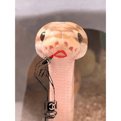 Emotional snake 26