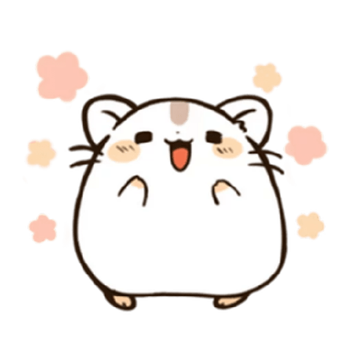 Hamsters 16