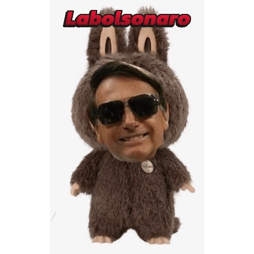 Bolsonaro meme 8