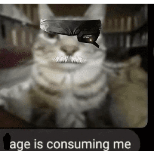 Metal gear page 2 12