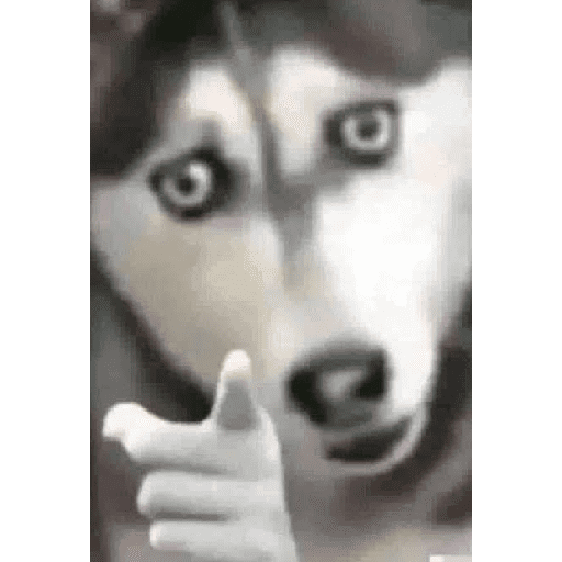 Holis 😎🤙🏽 8