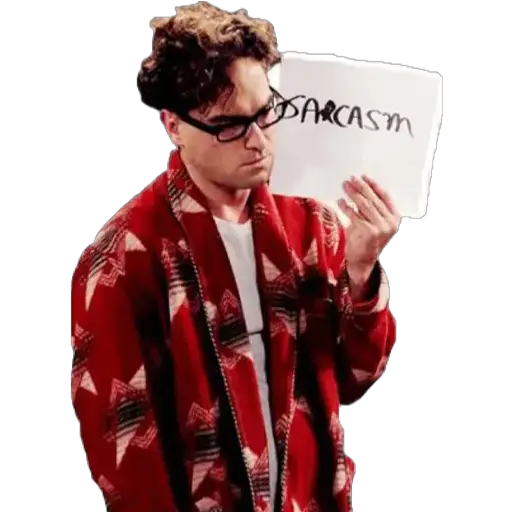 The Big bang theory 1