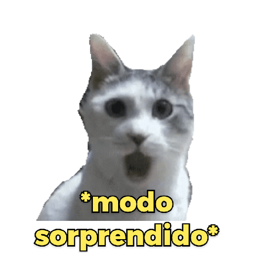 Memes de gatos 2