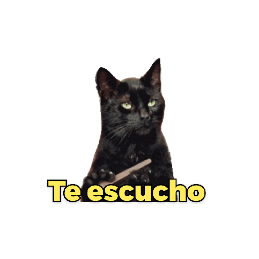 Memes de gatos 1