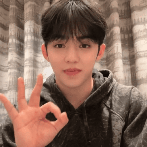 Seungcheol  (no text ) by pin 2