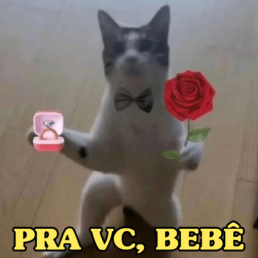DIA DOS NAMORADOS 🥰 8
