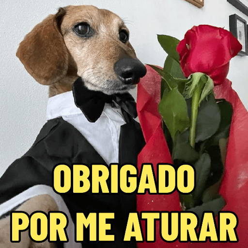 DIA DOS NAMORADOS 🥰 7