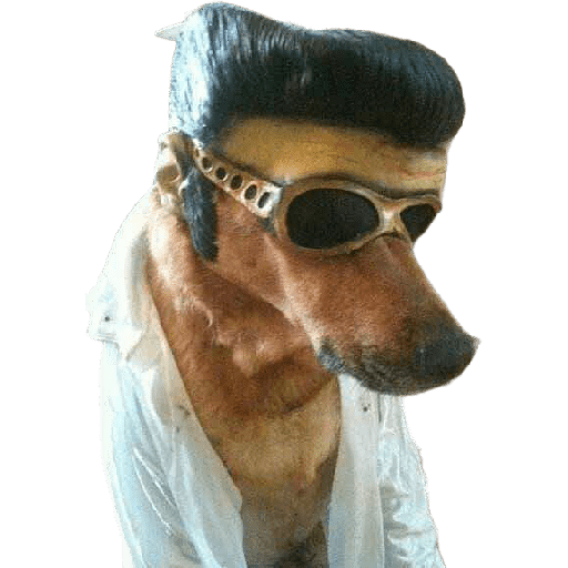 Perros chistosos 2.1 4