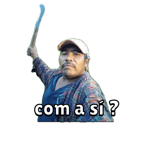 Xd muy jsikq d 11