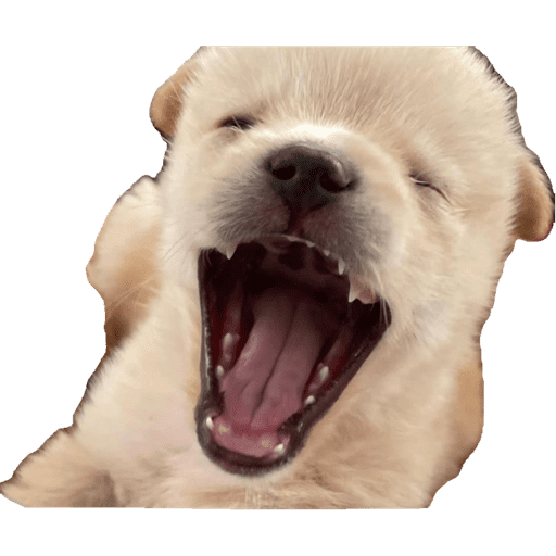 Perritos 4 8