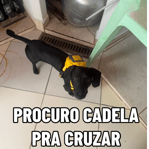 Lalala 14