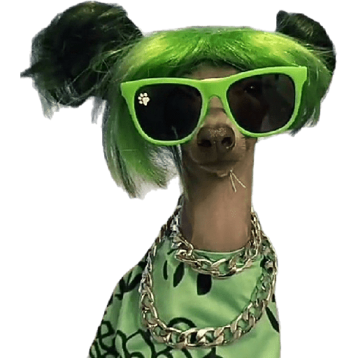 Perros chistosos 2.1 8