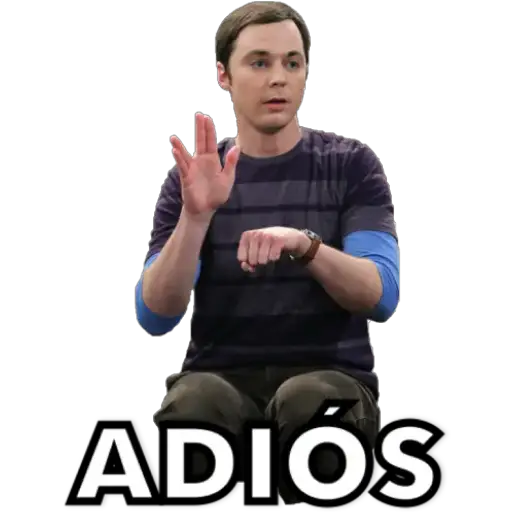 The Big bang theory 5