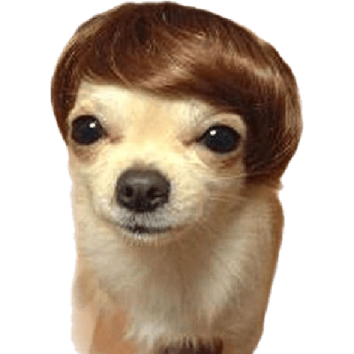 Perros chistosos 2.1 9