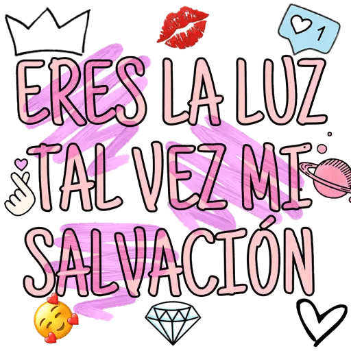 Novios 24