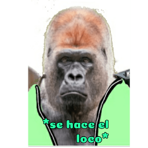 Memes que rove en intsgam 5