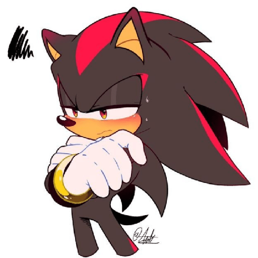 Shadow the hedgehog 8
