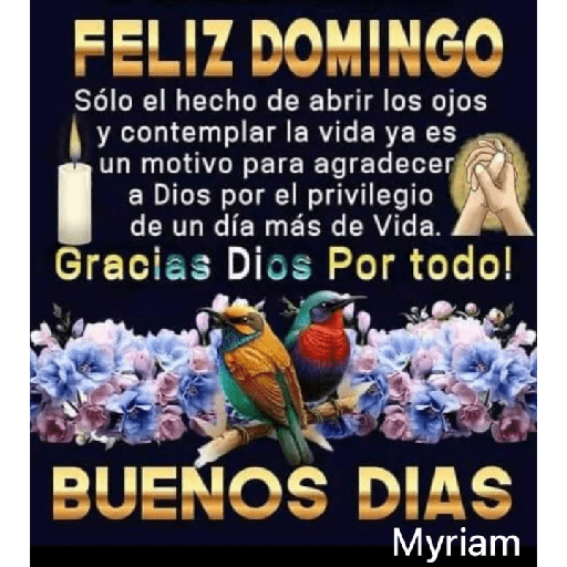 Domingo 18