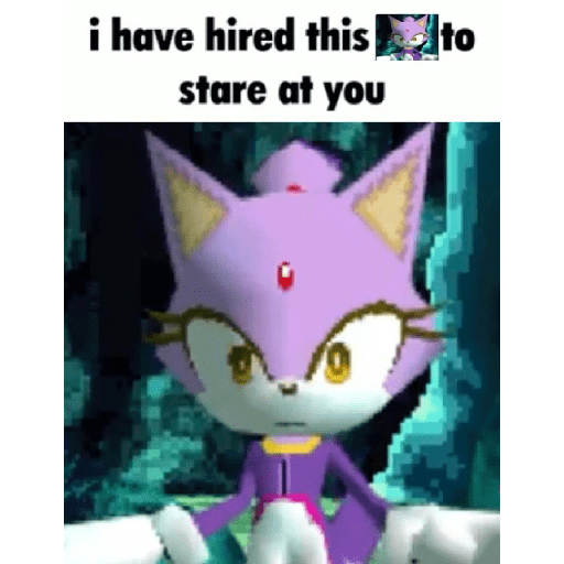 Blaze The Cat 14