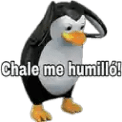 Vivan los novios 23
