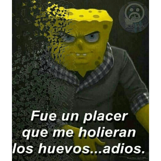 Ola 16