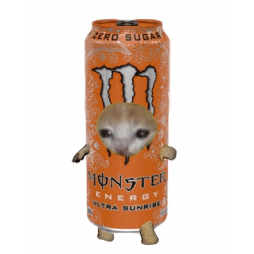 Comida gato 3 4