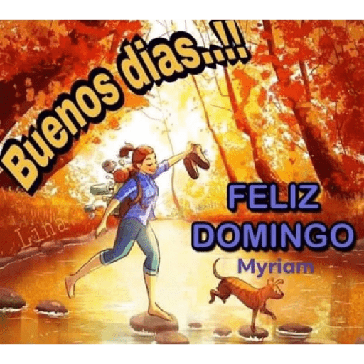 Domingo 11