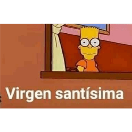 Vivan los novios 11