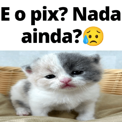 E o pix? 2
