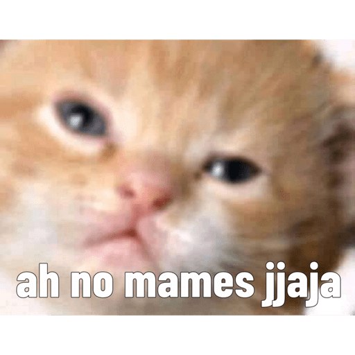 Animalitos 2.0 10