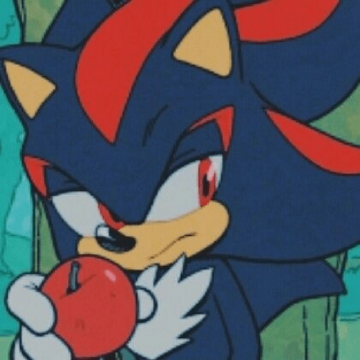 Shadow the hedgehog 25