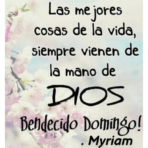 Domingo 15