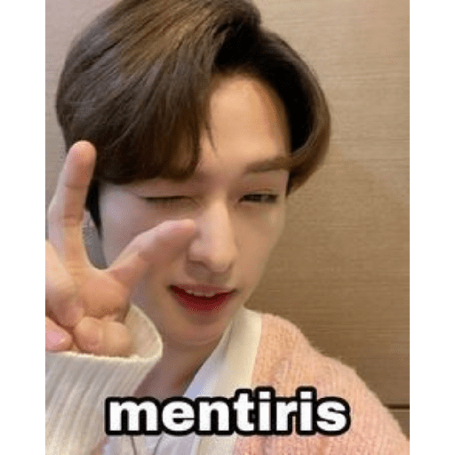 Straykids 4