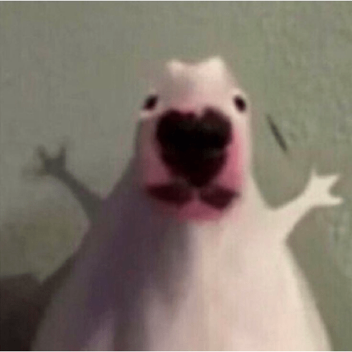 Aaaaahhhhh 28