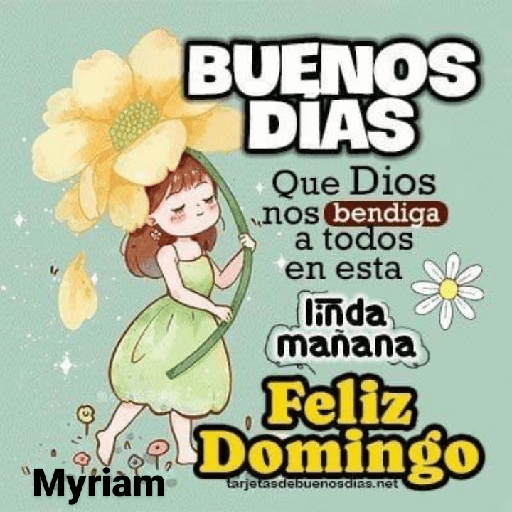 Domingo 16