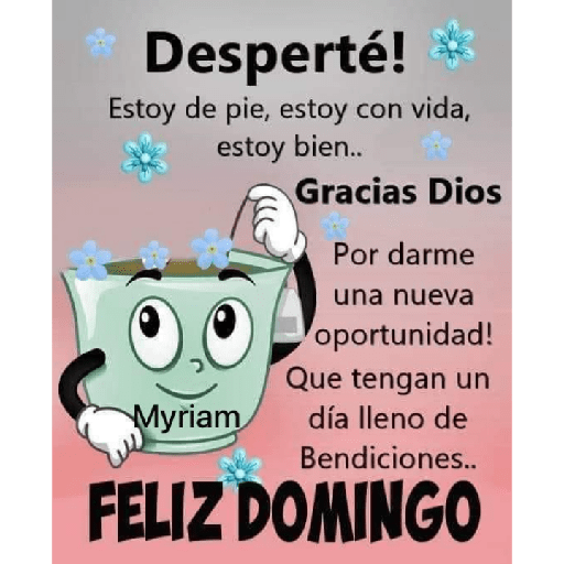 Domingo 19