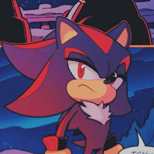 Shadow the hedgehog 19