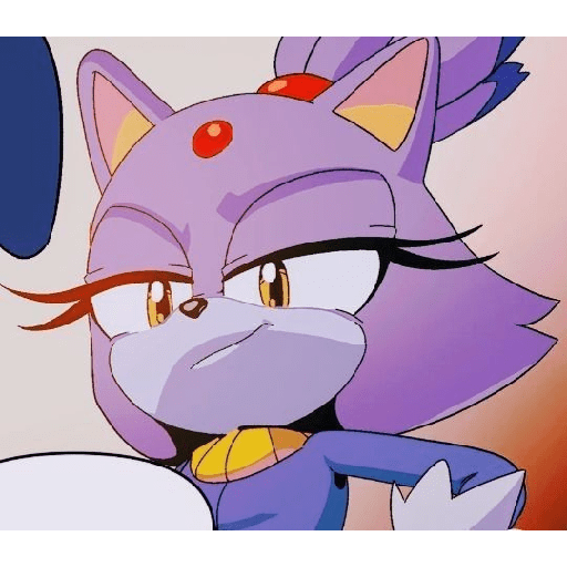 Blaze The Cat 8