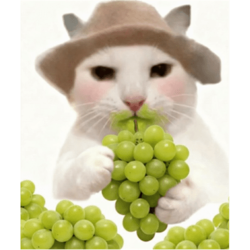 Papas Gatito 21