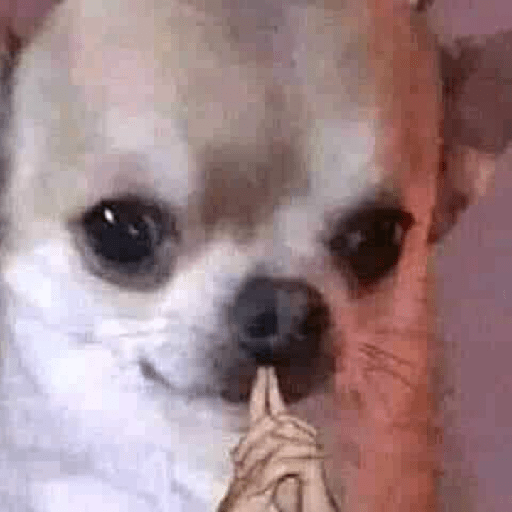 Vivan los novios 4