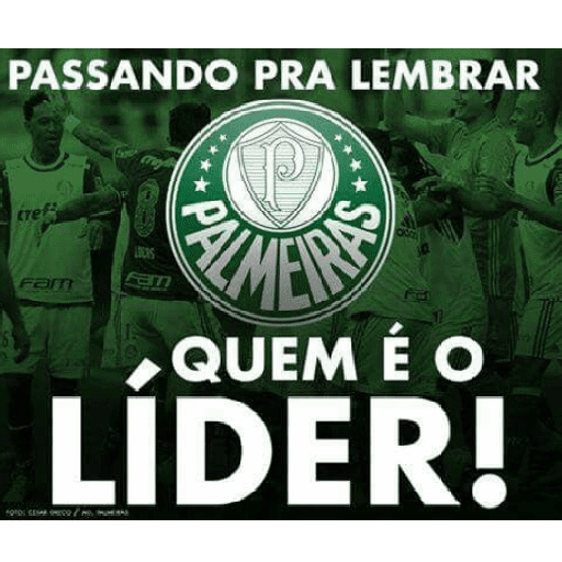 Palmeiras  5