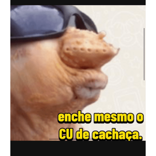 Minhas figuras 23